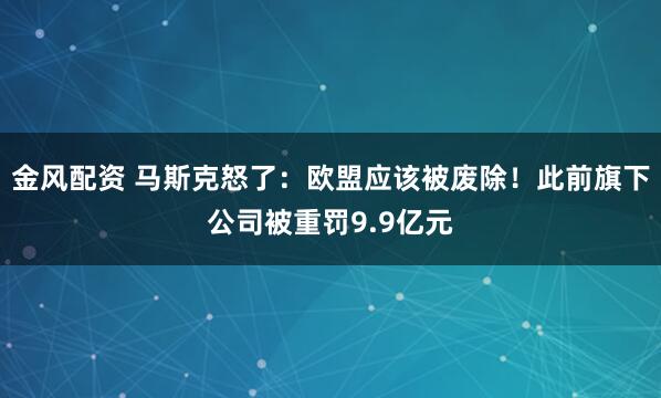 金风配资 马斯克怒了：欧盟应该被废除！此前旗下公司被重罚9.9亿元